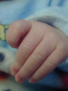 Tiny hand